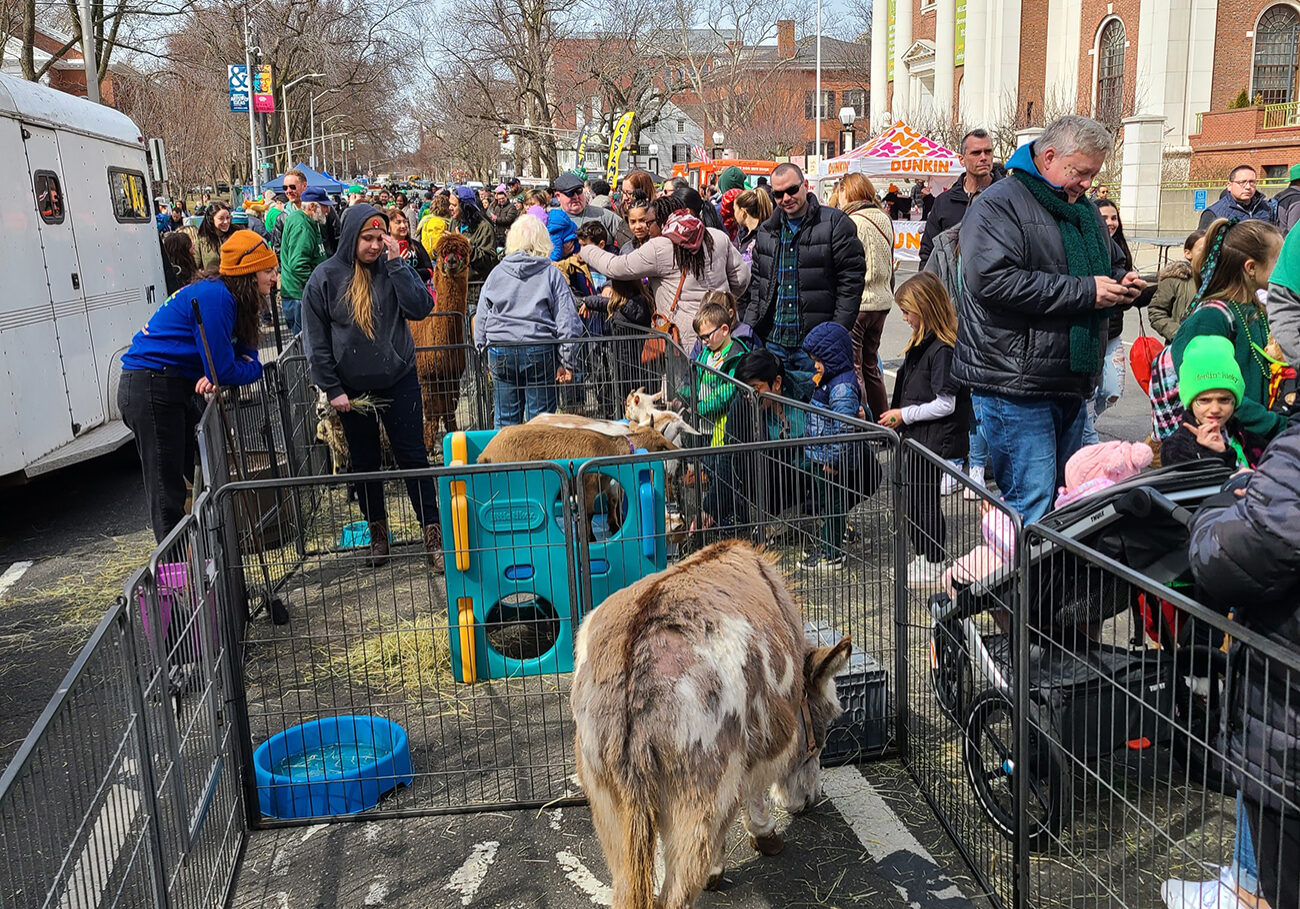 FFZ-Petting-Zoo